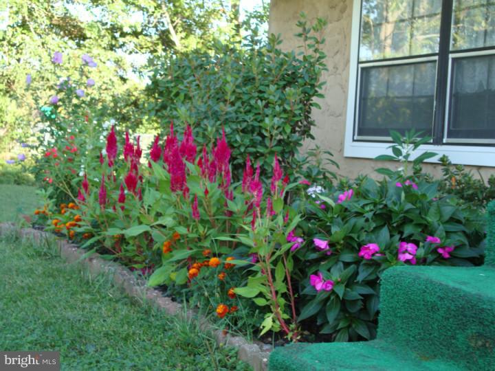 605 Jackson Road Atco, NJ 08004 - Photo 7 of 24 View from Front Door