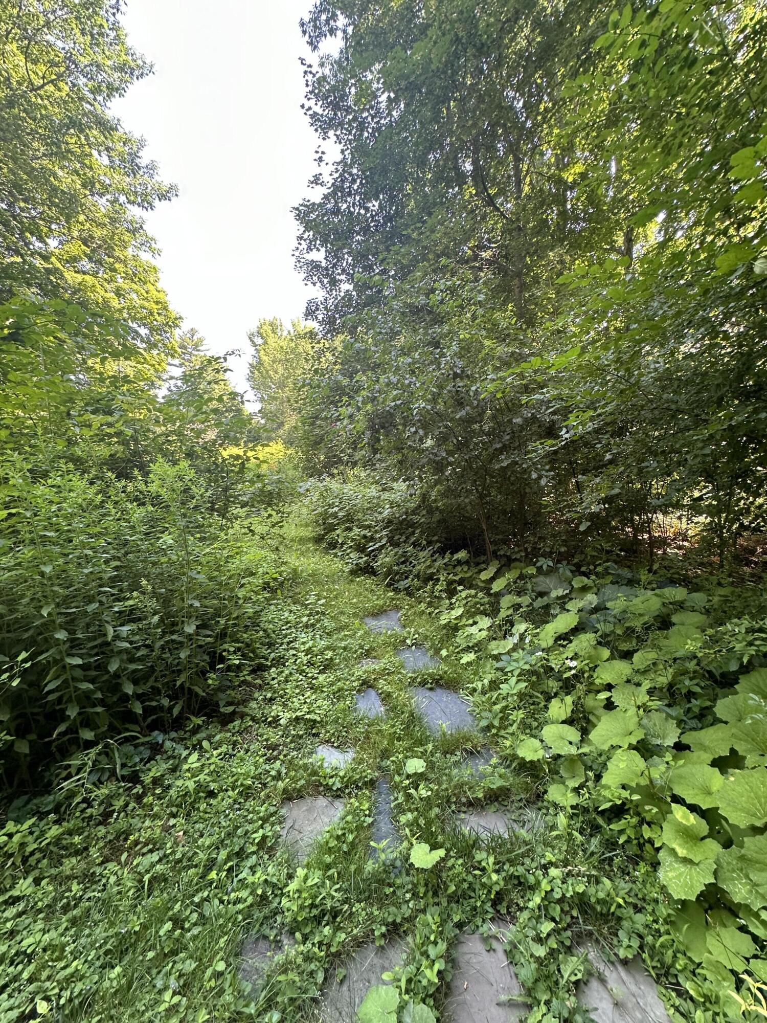 1004 Broadway Bangor, ME 04401 - Photo 18 of 22 IMG_1862 (1)