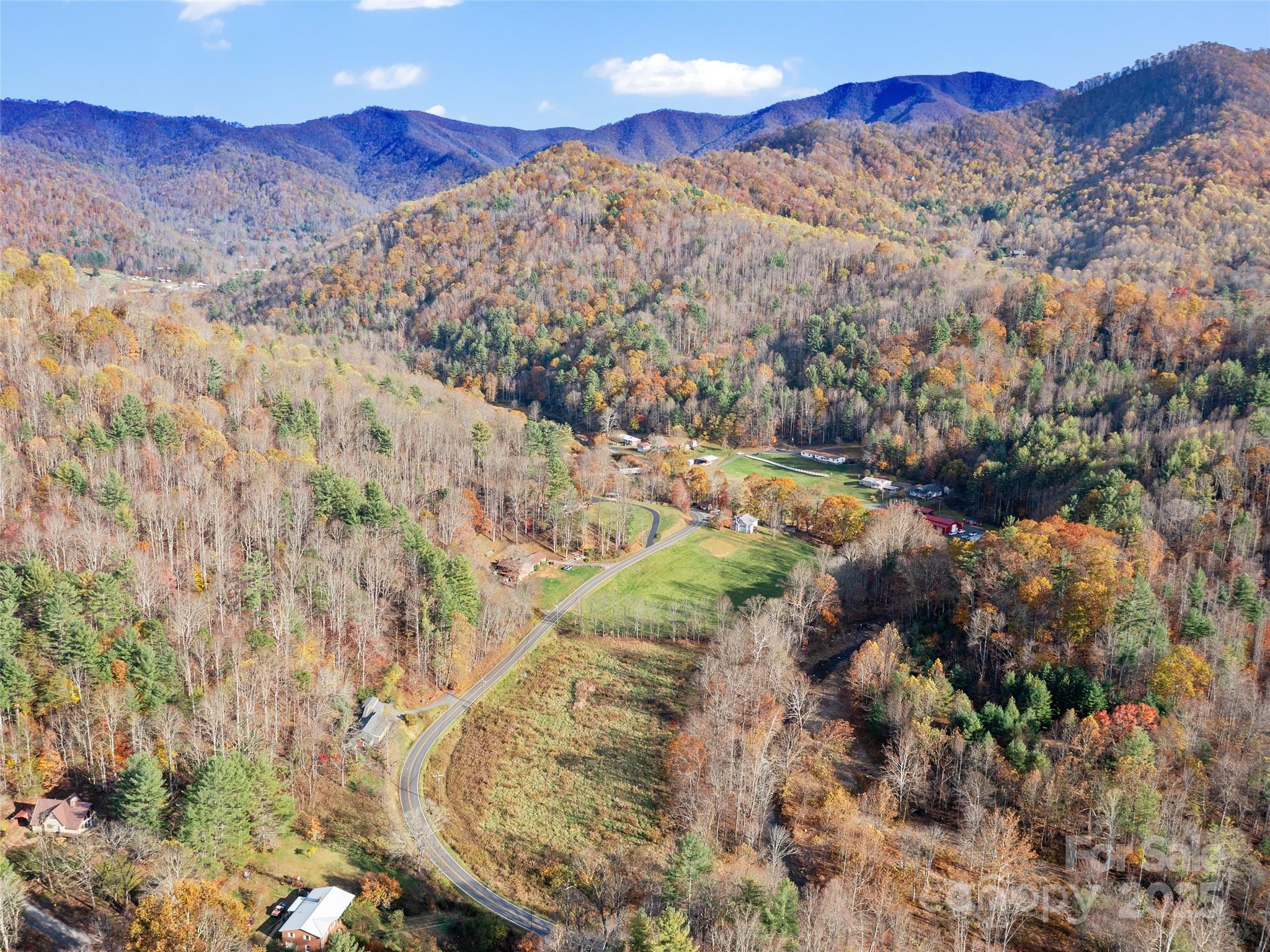 3477 Cane Creek Road Bakersville, NC 28705 - Photo 29 of 30 a view of a forest with mountains in the background