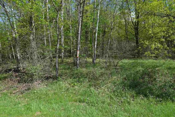 $9,200 | 170 Black Forest, La Valle, WI 53941