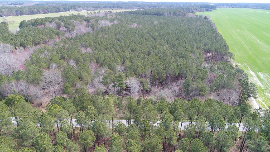 0 Drummondtown Road Accomac, VA 23301 - Photo 33 of 50