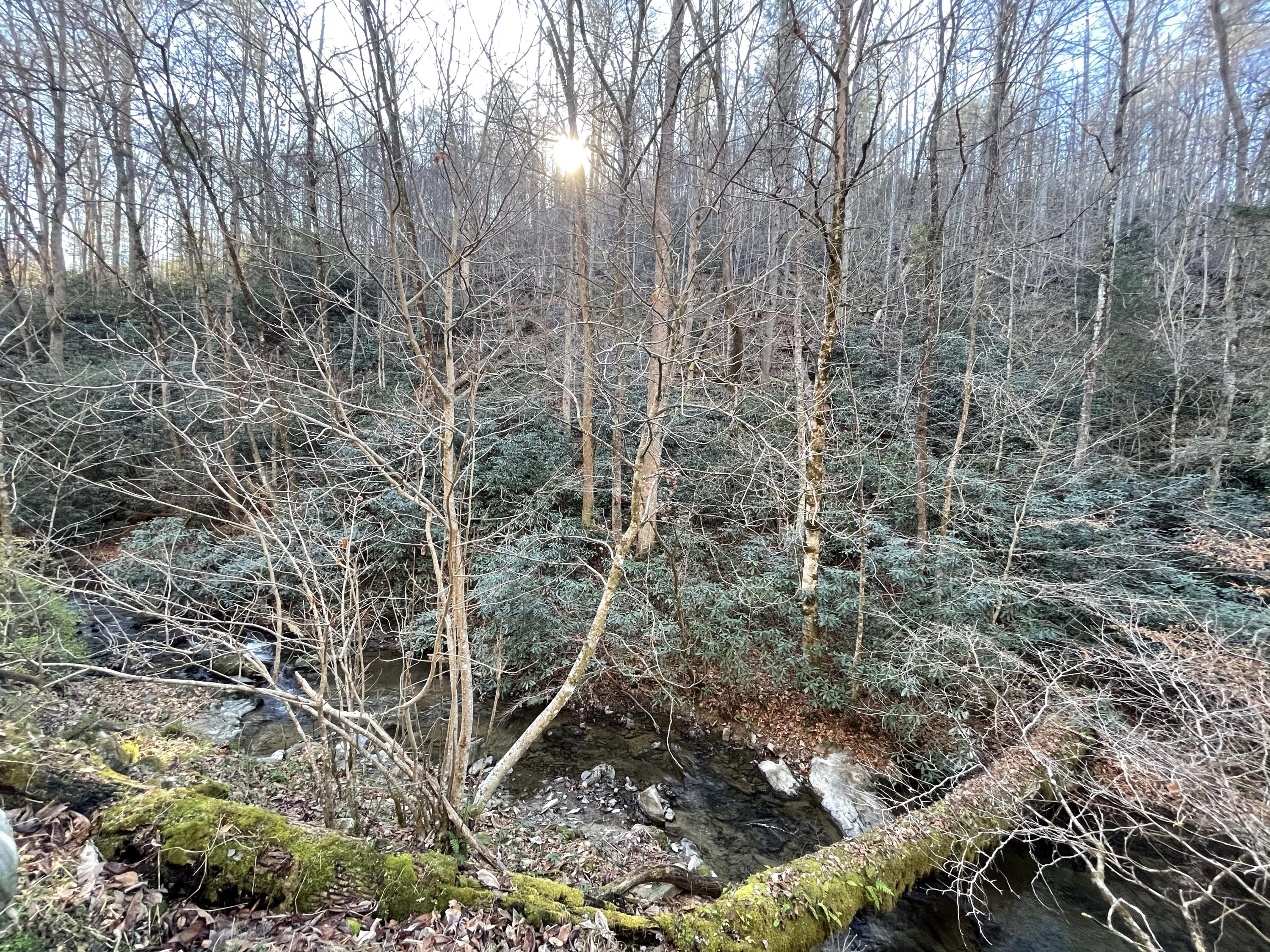 0 Rabbit Hill Road, Unit 7 Hartford, TN 37753 - Photo 1 of 5 Picture from the Road