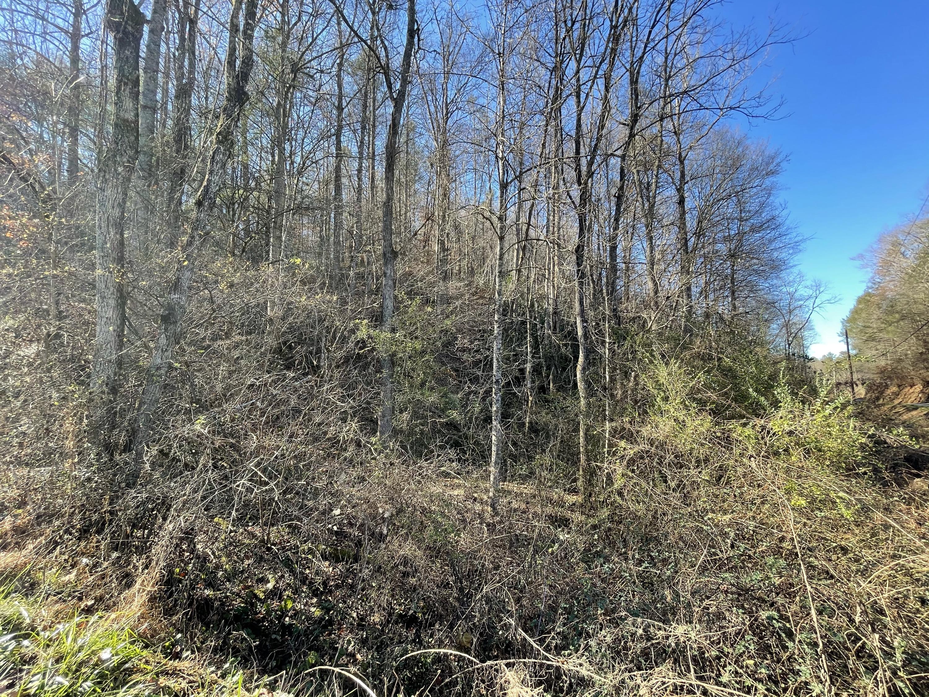 0 Rabbit Hill Road, Unit 7 Hartford, TN 37753 - Photo 2 of 5 14