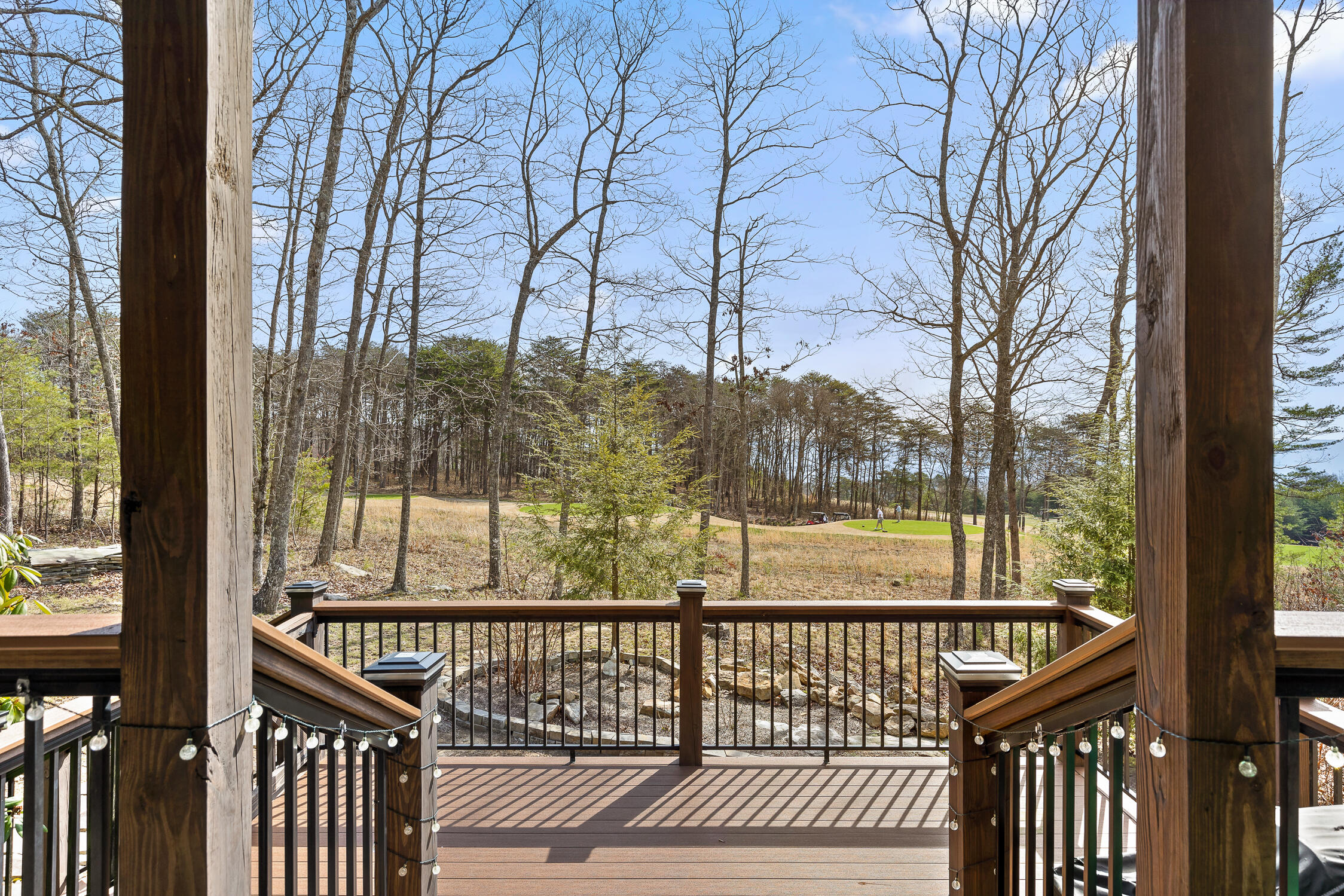 105 Arrow Ranch Road Rising Fawn, GA 30738 - Photo 5 of 68 Arrow-10