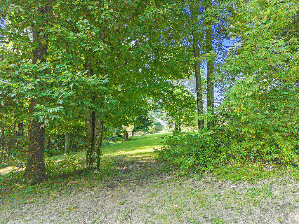 Lot20-a&b Burrill Hill Road Norridgewock, ME 04957 - Photo 3 of 17 Burrill Hill Rd