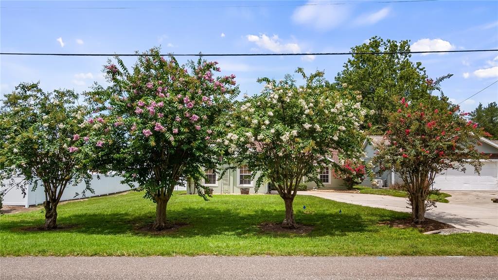 11746 Oswalt Road Clermont, FL 34711 - Photo 3 of 35 a view of a yard with a tree
