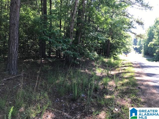 Ivey Way Munford, AL 36268 - Photo 3 of 8 Gallery Image 3