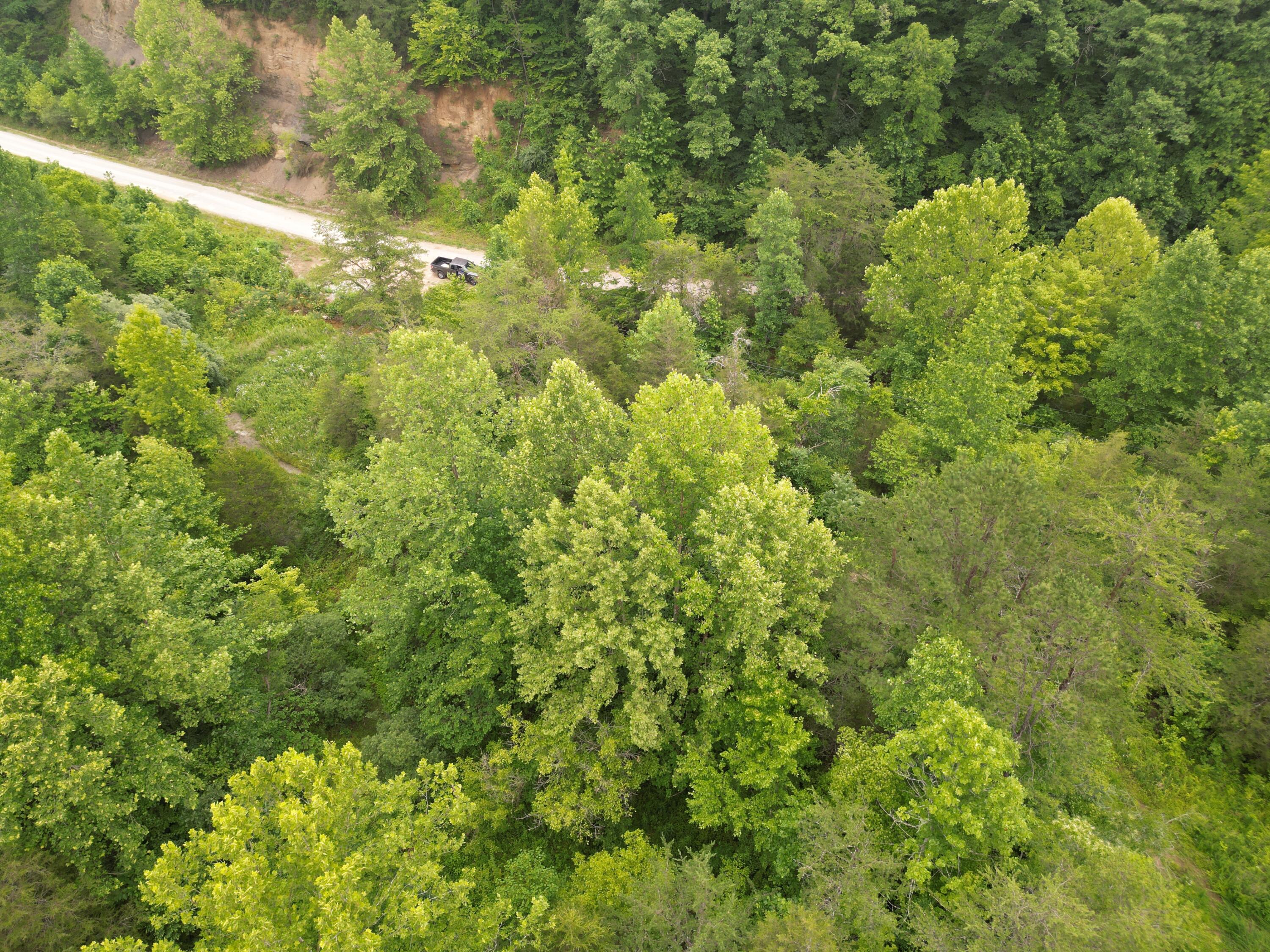 9991 Big Wildcat Road Manchester, KY 40962 - Photo 10 of 19 DJI_0133