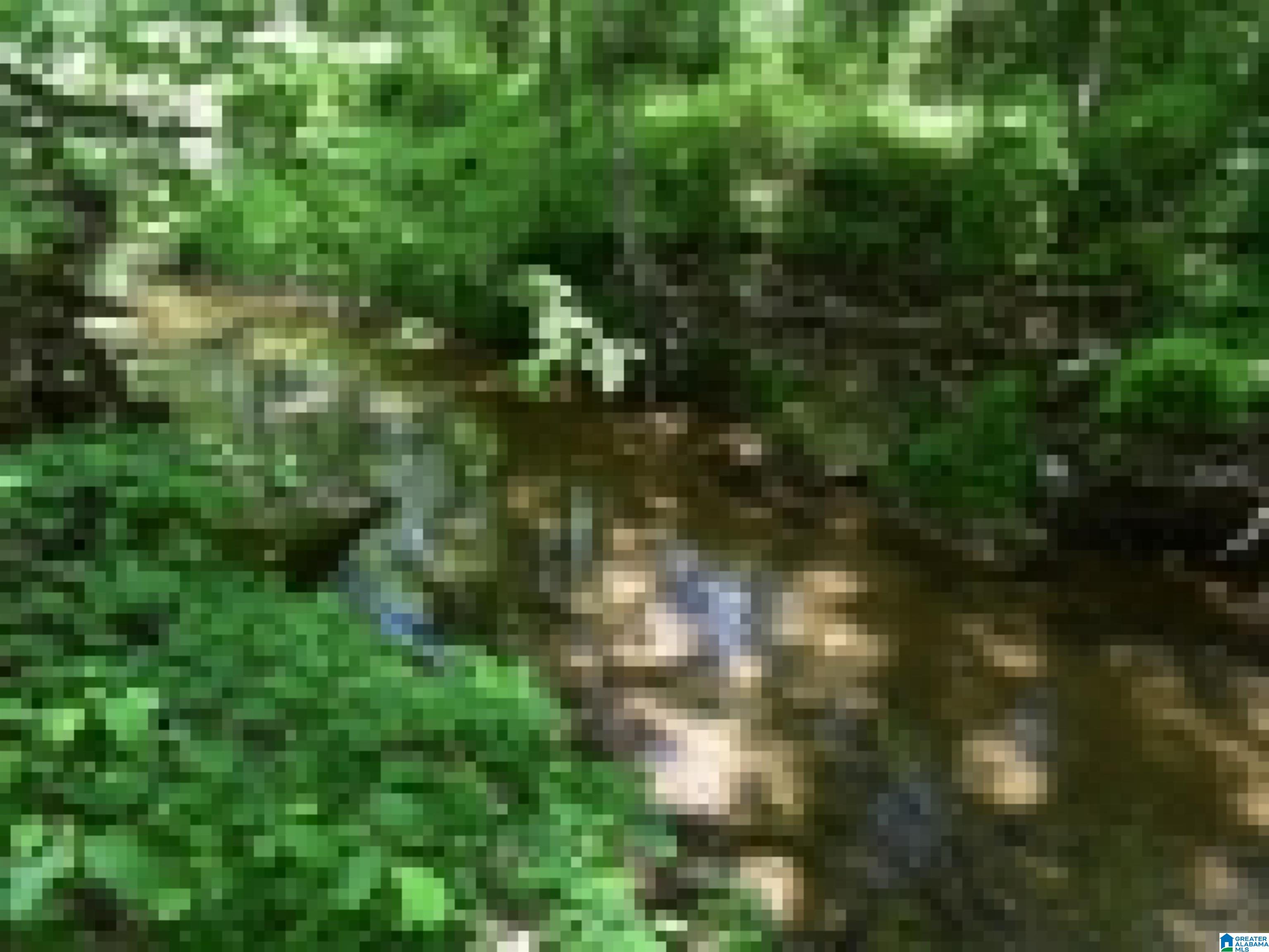 0 County Road 141, Unit 1 Ider, AL 35981 - Photo 23 of 29
