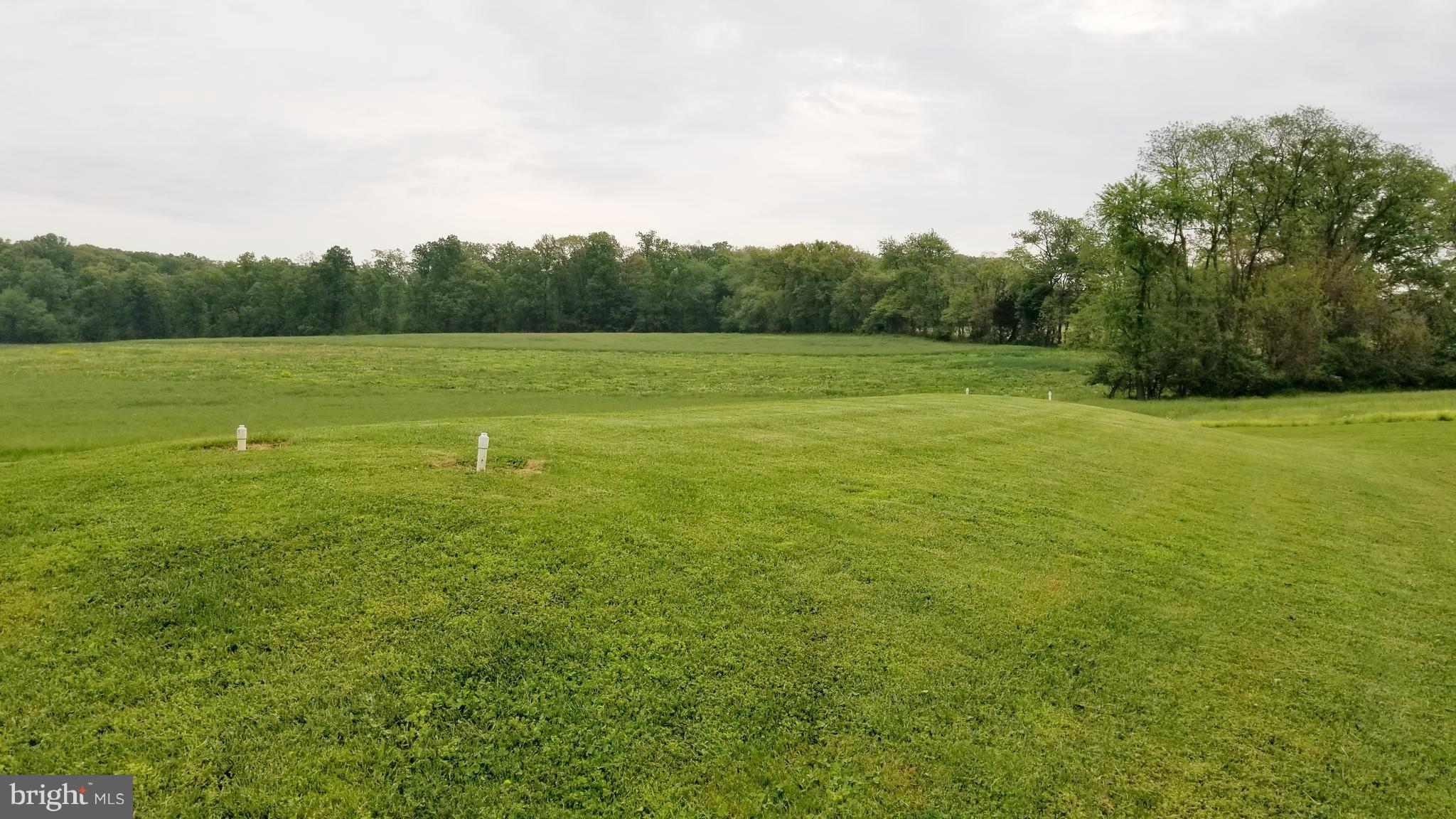 350 Pine Grove Road Hanover, PA 17331 - Photo 28 of 30 Exterior (Rear)