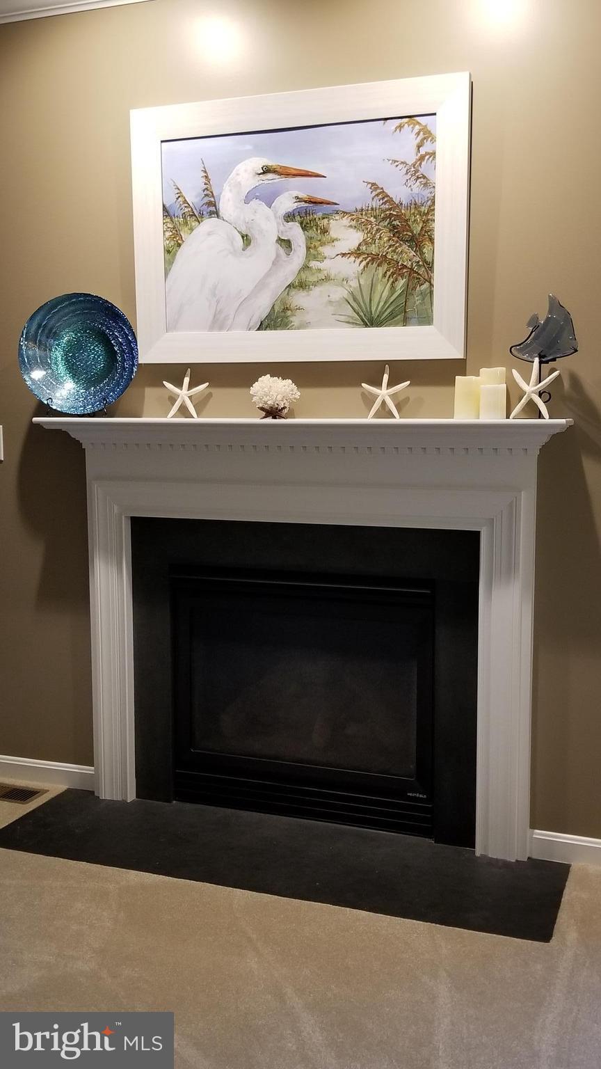 350 Pine Grove Road Hanover, PA 17331 - Photo 6 of 30 Family Room