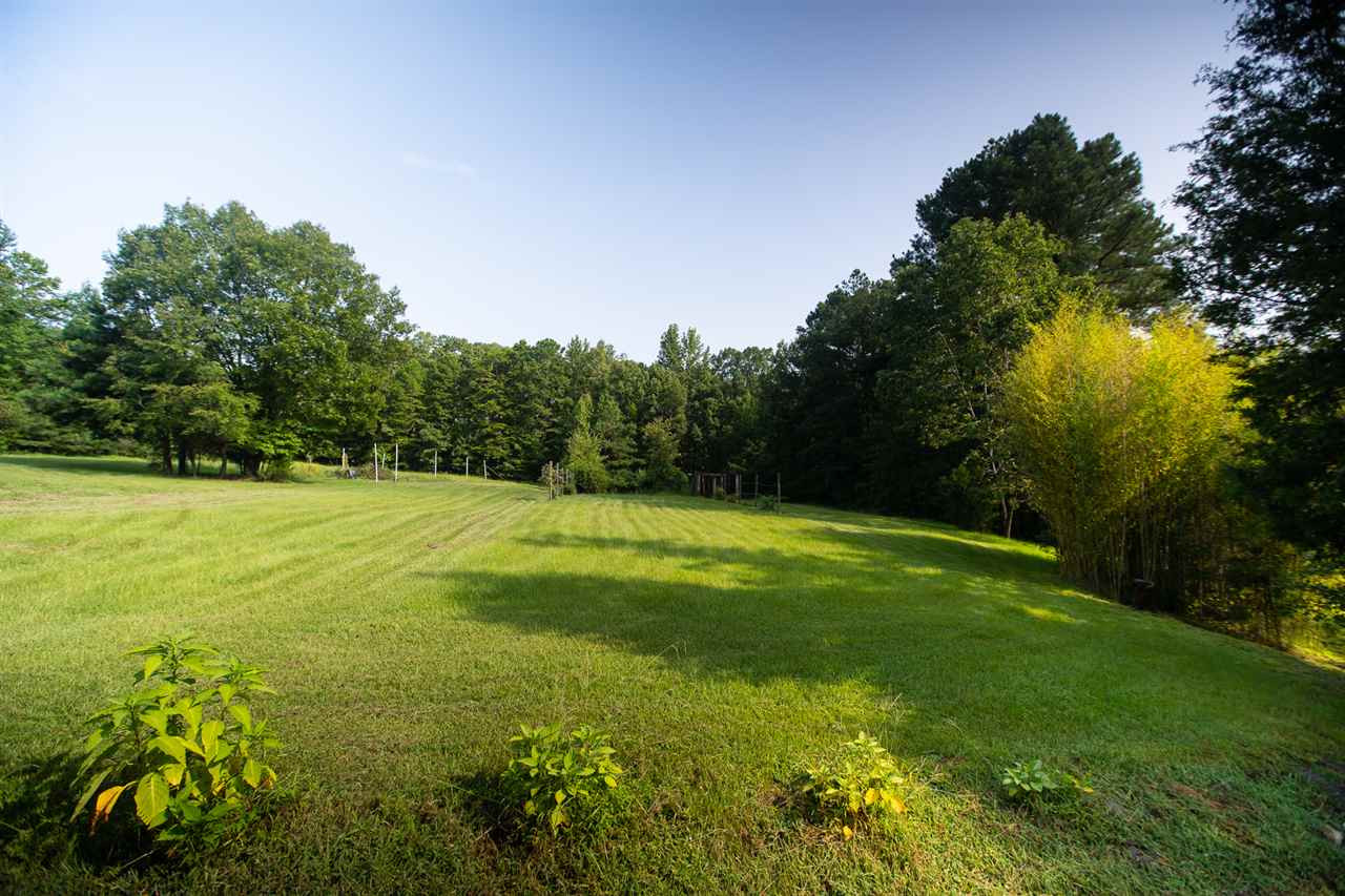 8214 Johnson Mill Road Bahama, NC 27503 - Photo 27 of 30 Orchard and Grapevines