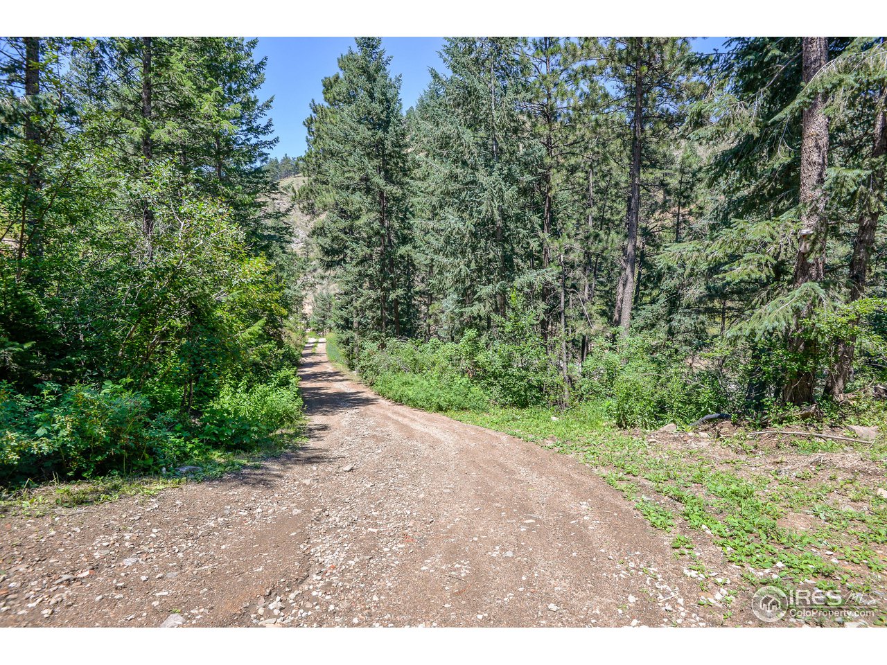 10285 Rist Canyon Road Bellvue, CO 80512 - Photo 39 of 39 You're Almost There