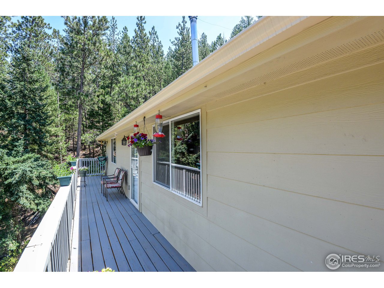 10285 Rist Canyon Road Bellvue, CO 80512 - Photo 7 of 39
