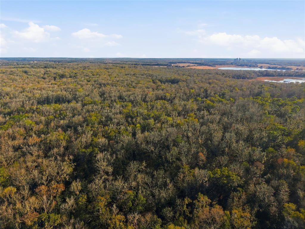 0 Thompson Loop Brooksville, FL 34614 - Photo 2 of 6