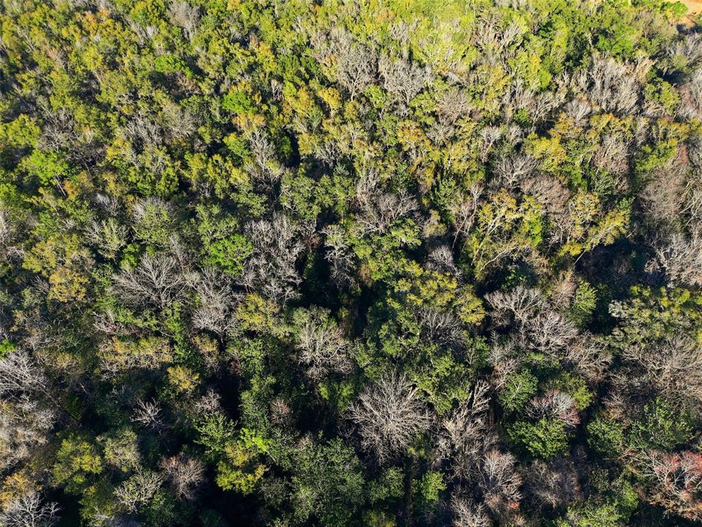 0 Thompson Loop Brooksville, FL 34614 - Photo 3 of 6