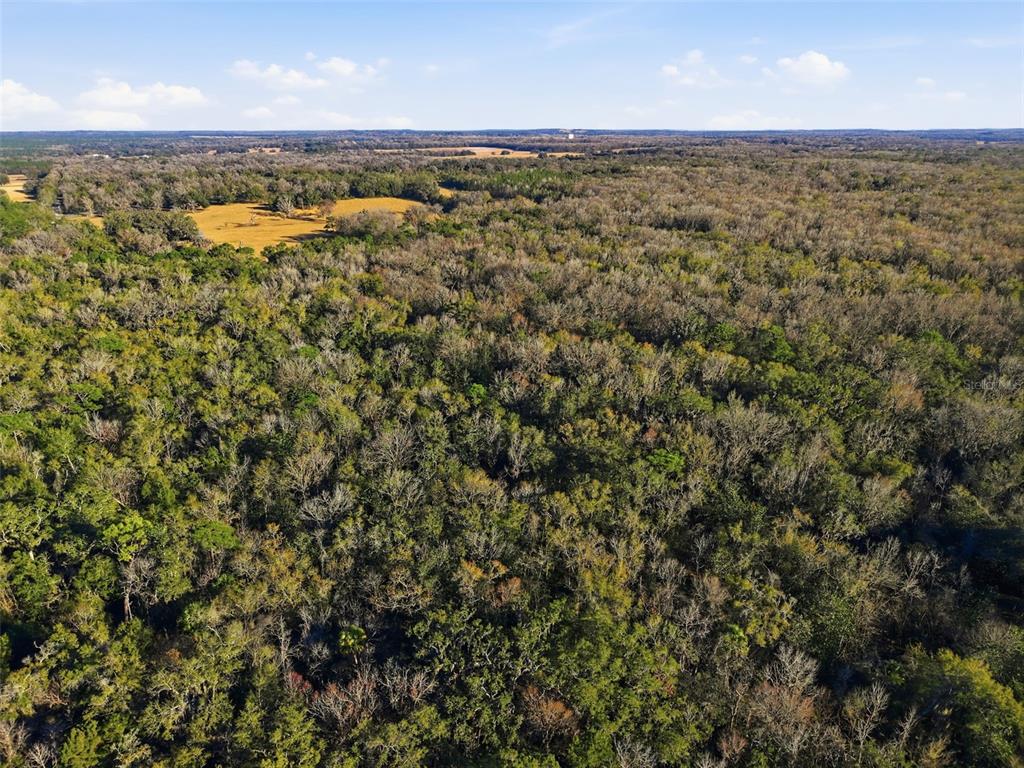 0 Thompson Loop Brooksville, FL 34614 - Photo 4 of 6