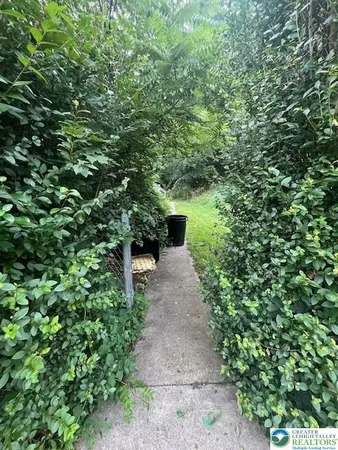 a view of a pathway both side of yard