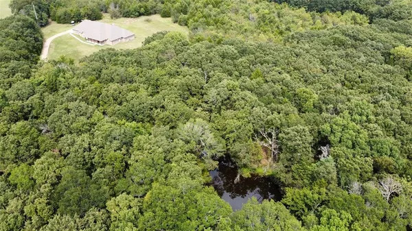 a view of a bunch of trees and bushes