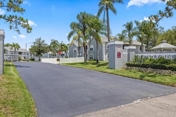 a house with palm tree in front of it