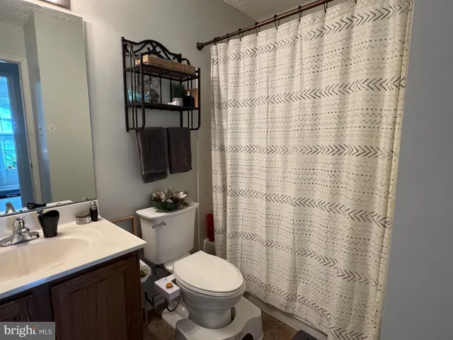 a bathroom with a sink and a toilet