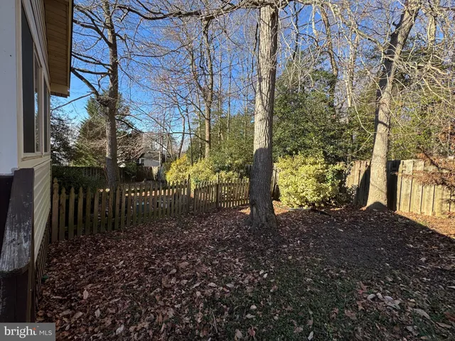 a view of a yard with plants and trees