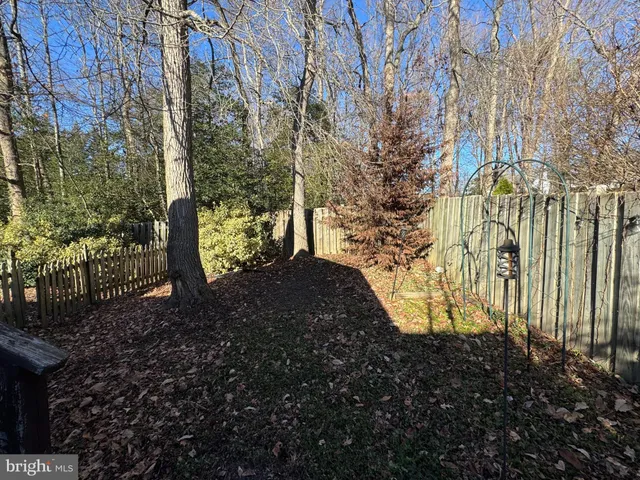 a view of a yard with plants and large trees