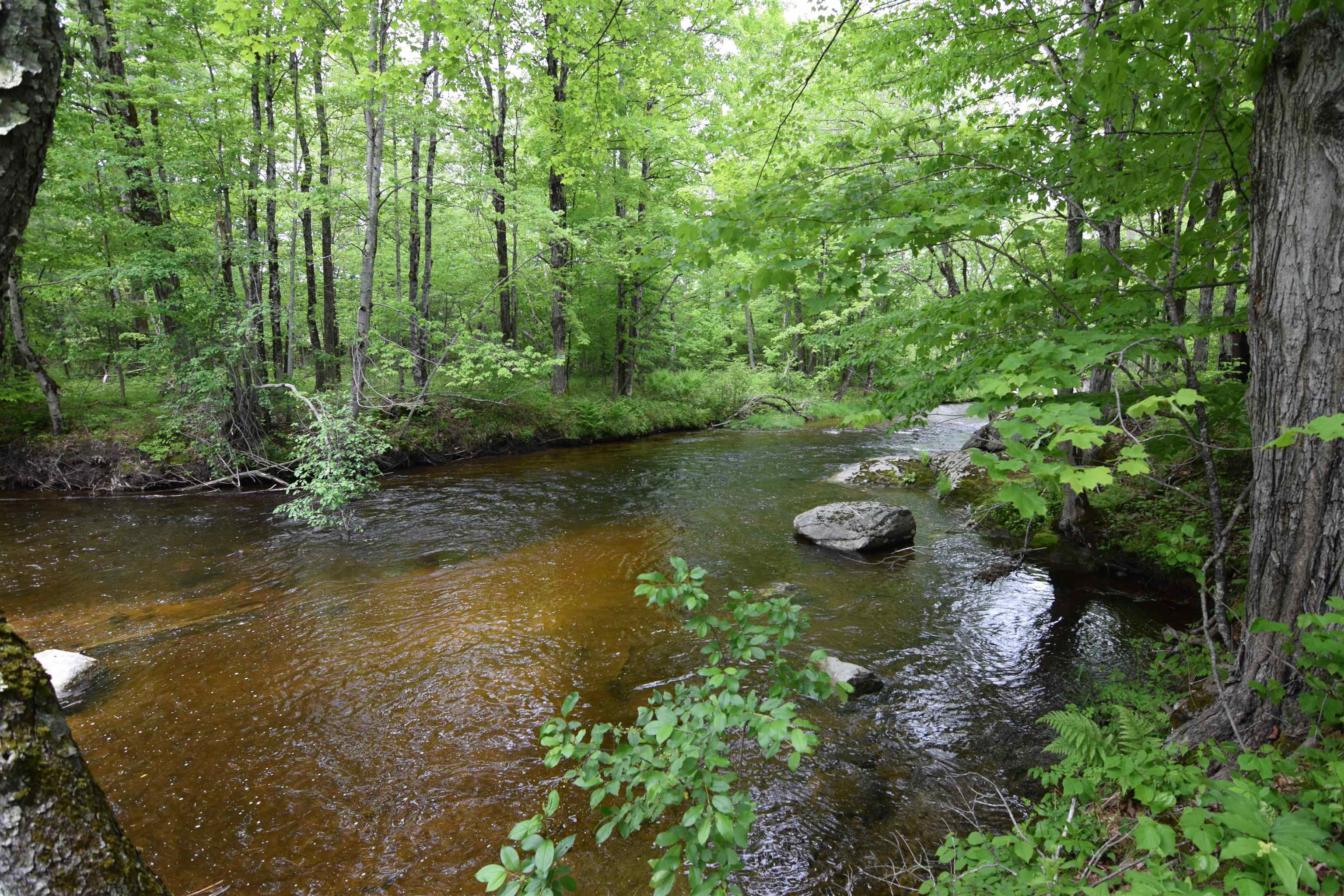301 Mill Village Road North Goshen, NH 03752 - Photo 24 of 29