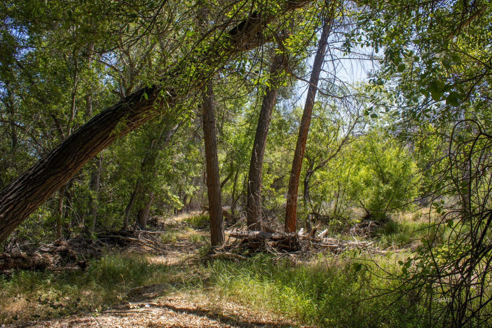 0 Burlando Road Kernville, CA 93238 - Photo 7 of 15