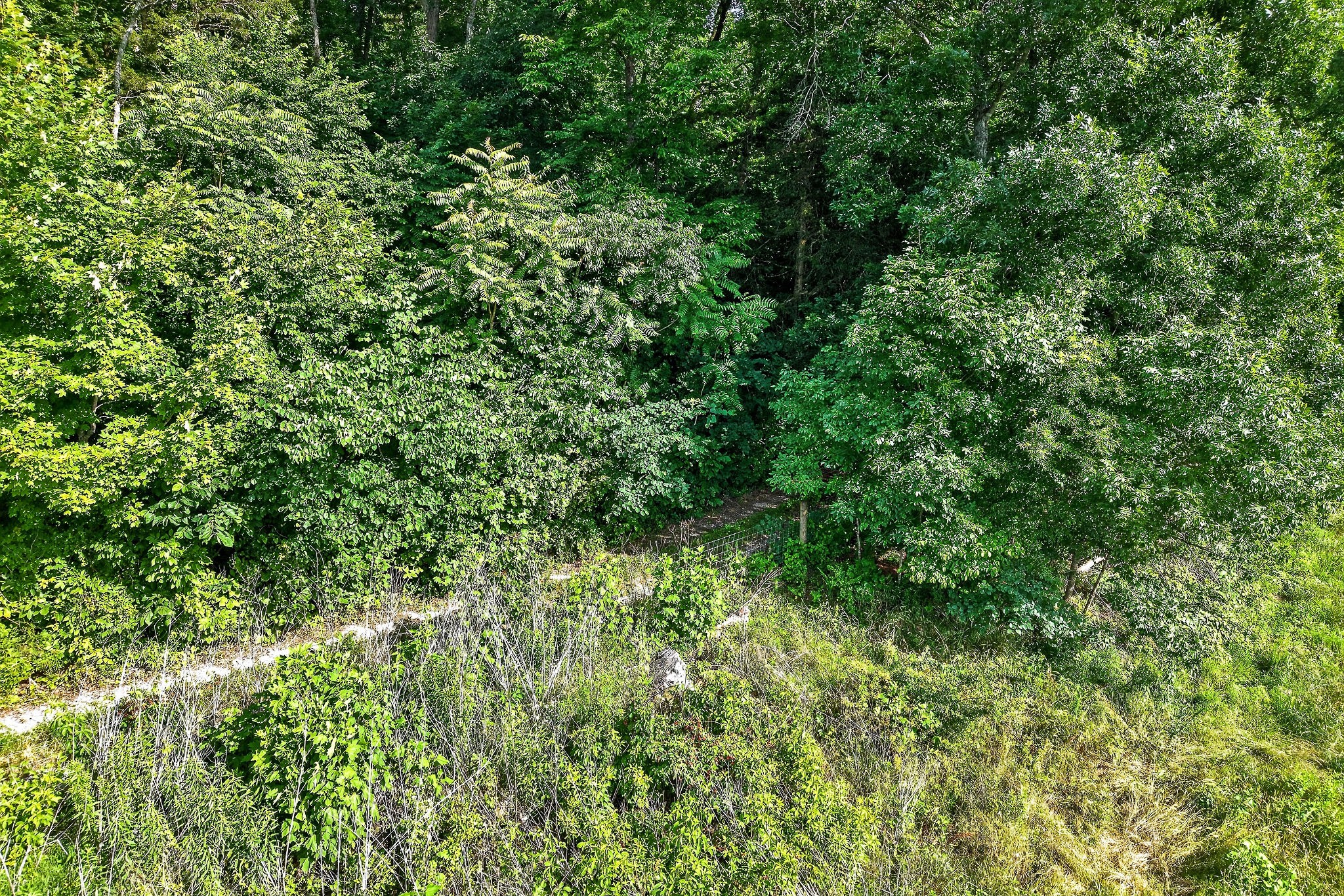0 Moore Cove Road Sparta, TN 38583 - Photo 16 of 19