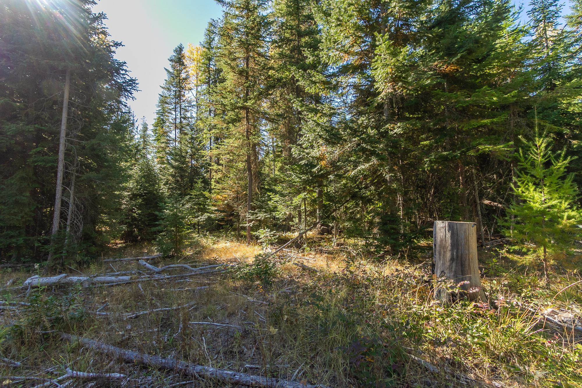 400-blk Greenhouse Road Ione, WA 99139 - Photo 8 of 14