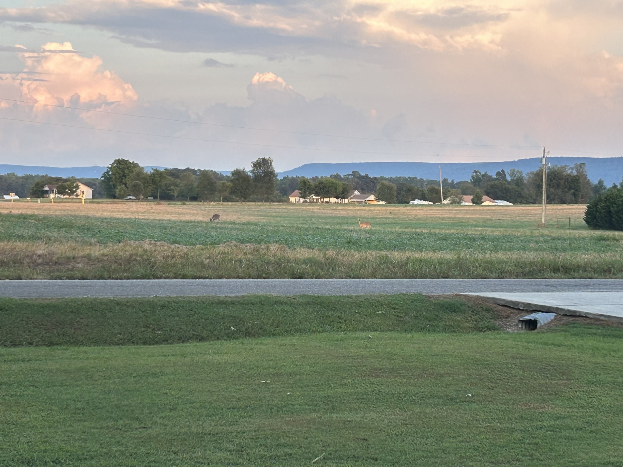 999 Featherstone Cemetary Road Decherd, TN 37324 - Photo 29 of 30