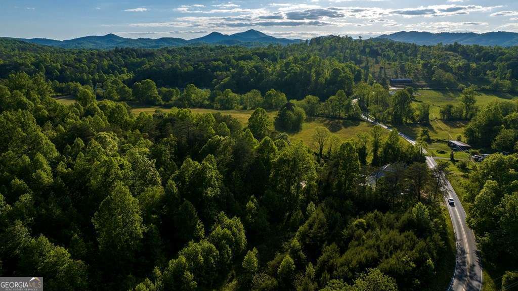 1 West Gum Log Road Warne, NC 28909 - Photo 14 of 26