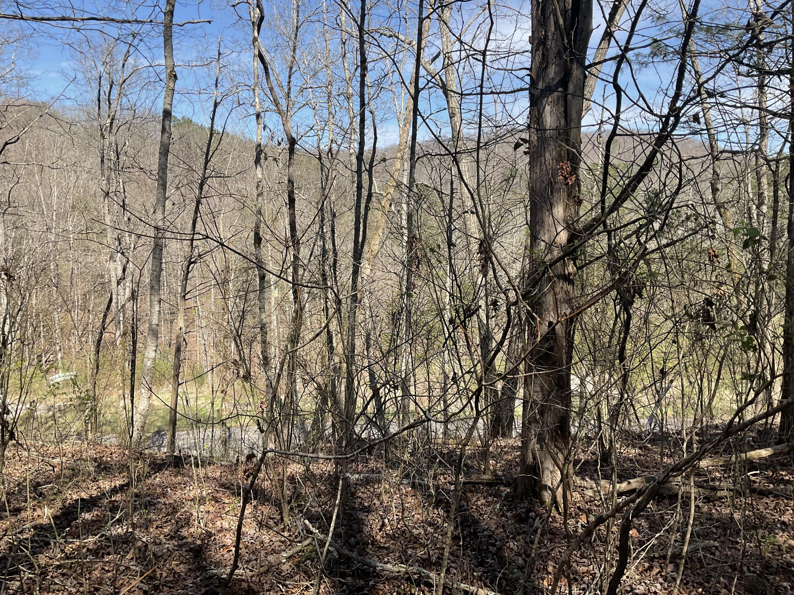 4 Caney Branch Spur Road, Unit 4 Burnside, KY 42519 - Photo 6 of 10 IMG_0344