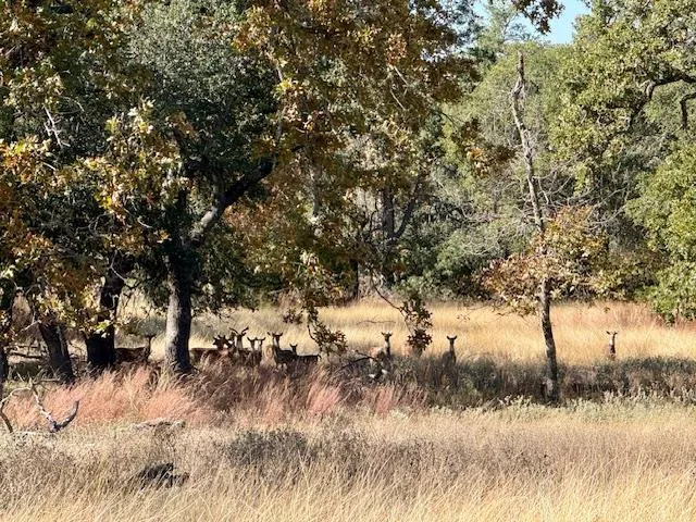 $3,559,000 | 1129 Triple Creek Road, Fredericksburg, TX 78624
