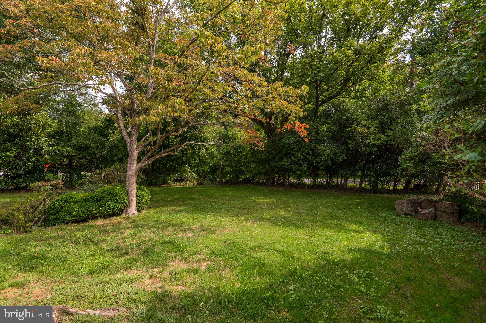 9225 Levelle Drive Chevy Chase, MD 20815 - Photo 34 of 37 Yard