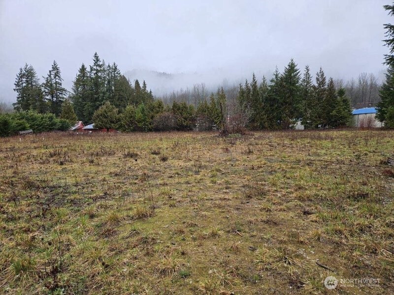 45075 Cedar Street Concrete, WA 98237 - Photo 14 of 18