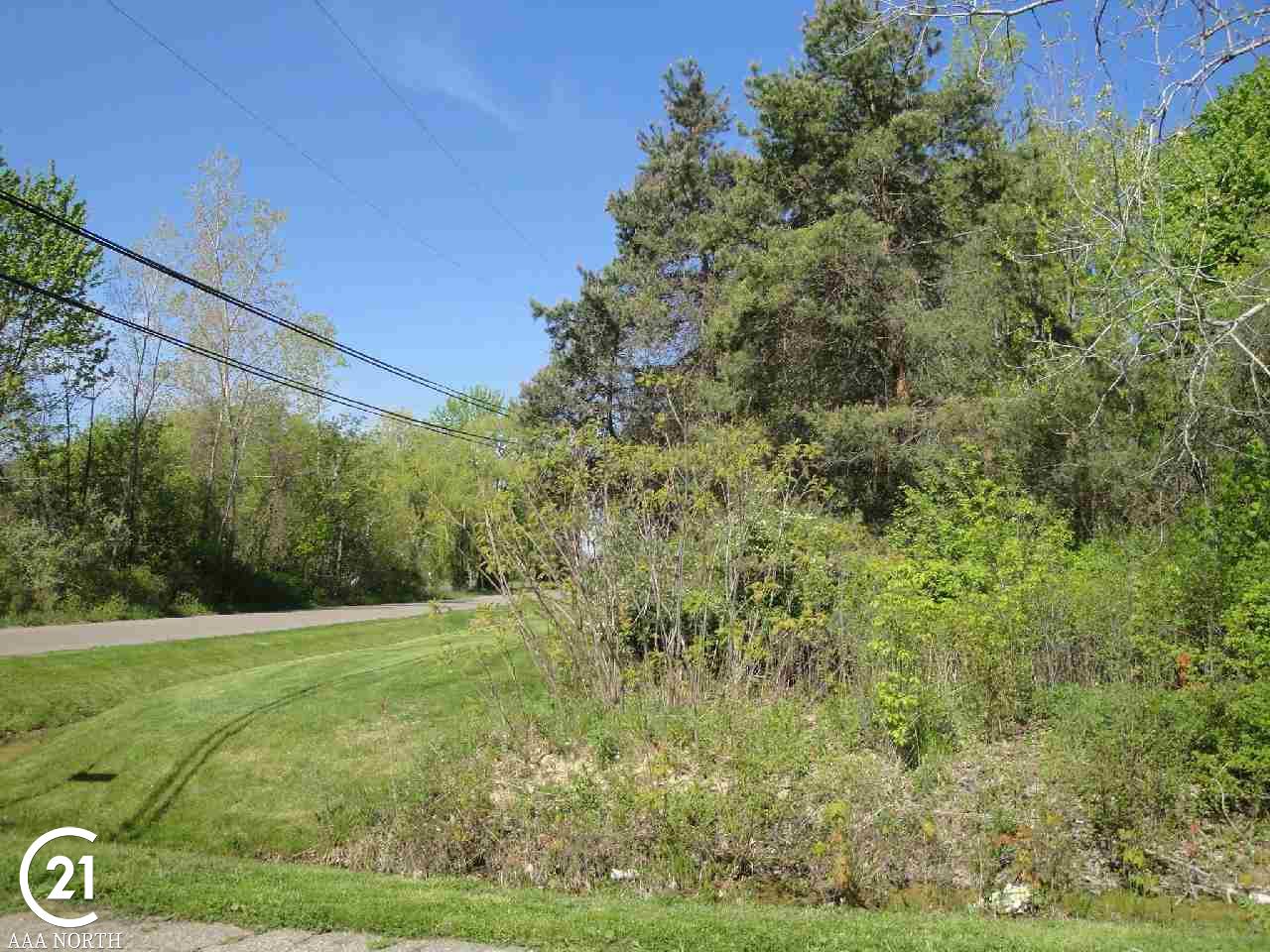 0 Bellman Utica, MI 48316 - Photo 6 of 6