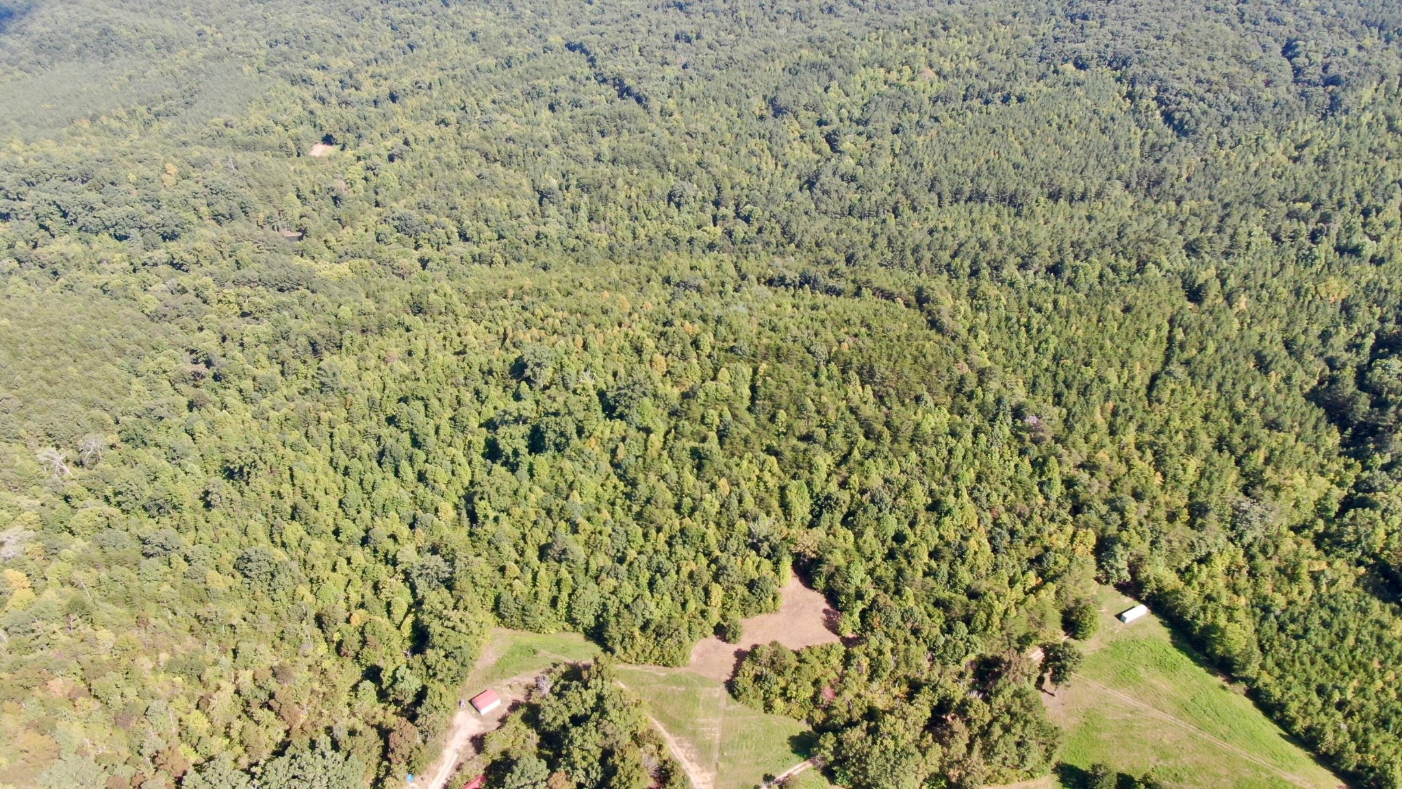 0 Liberty Church Road Old Fort, TN 37362 - Photo 2 of 5