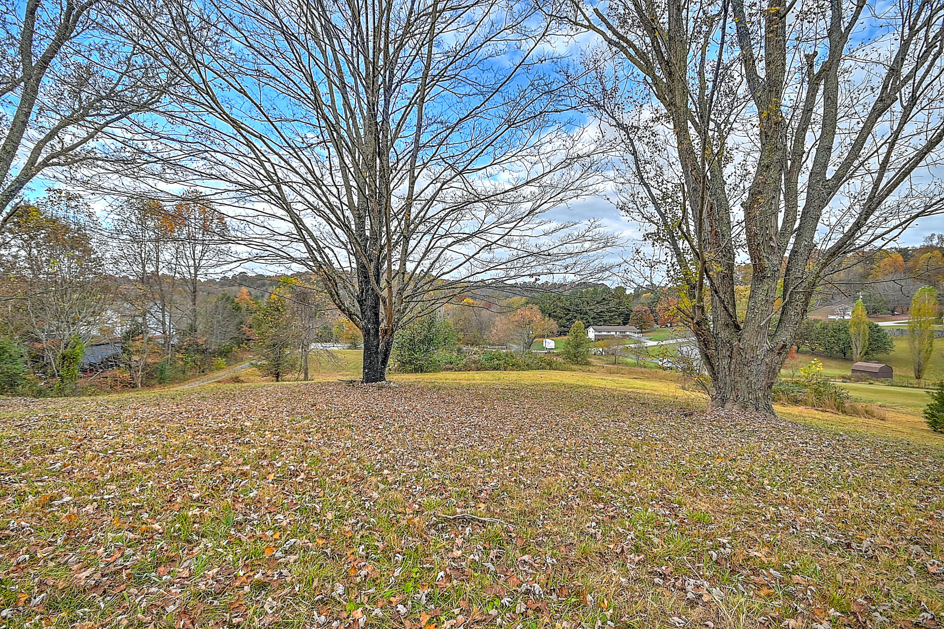 205 Lancaster Road Kingsport, TN 37663 - Photo 6 of 24 205 Lancaster-6