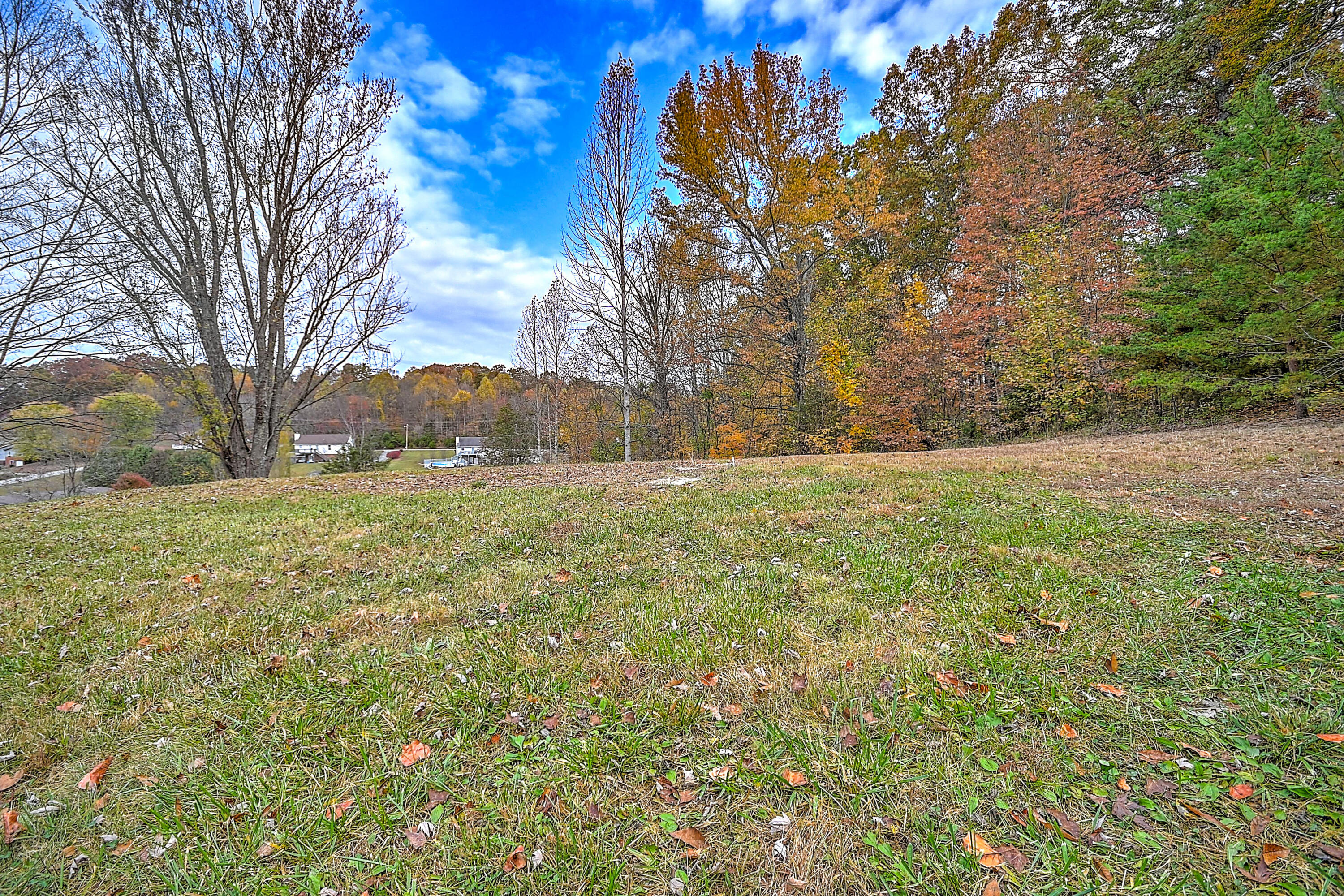 205 Lancaster Road Kingsport, TN 37663 - Photo 8 of 24 205 Lancaster-8