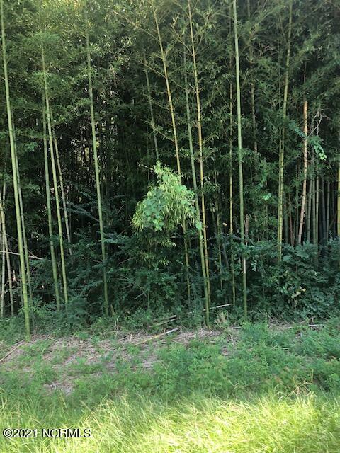 89 Rico Road Clarkton, NC 28433 - Photo 1 of 3 Rico Two