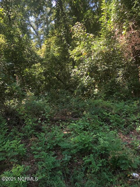 89 Rico Road Clarkton, NC 28433 - Photo 3 of 3 Rico Three
