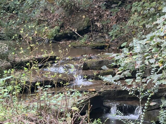 238 Coal Stone Branch Road Miracle, KY 40856 - Photo 19 of 38 IMG_7803