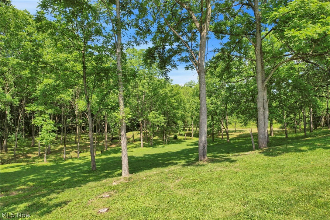 60145 Bliss Road New Concord, OH 43762 - Photo 46 of 49