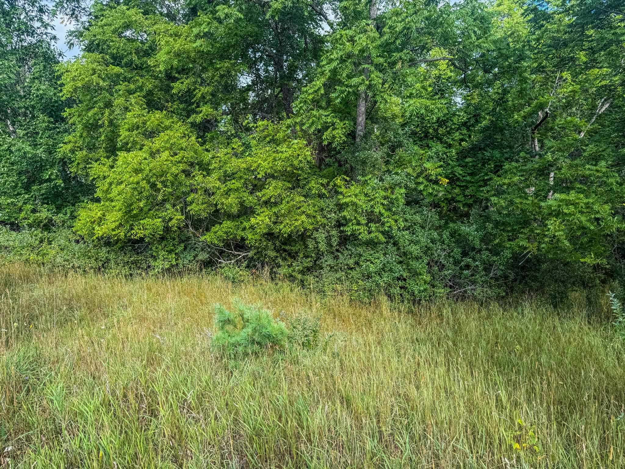 4 East Darga Road Cedar, MI 49621 - Photo 16 of 22 1949894-3b11a64e-fe4a-430f-b302-10ec909f057c.JPG