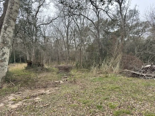 a view of a yard with a tree
