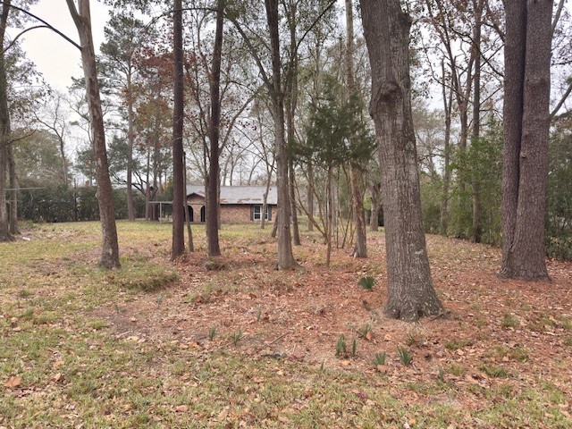 2022 Pecan Lane Katy, TX 77494 - Photo 3 of 8 a view of a yard with a tree