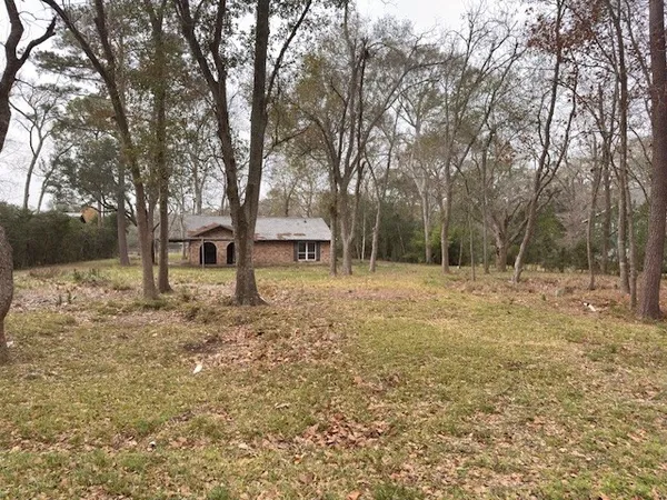 a view of a yard with trees