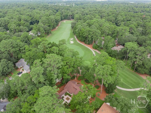 4 Cotesby Lane Savannah, GA 31411 - Photo 6 of 46